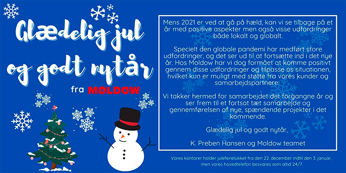 Glædelig jul og godt nytår fra Moldow